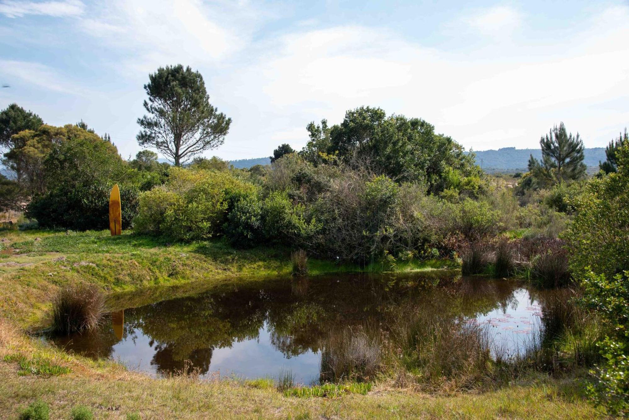 Hotel Equleni Guest Farm Sedgefield Zewnętrze zdjęcie